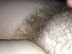 मेरी wifes अविश्वसनीय मुलायम बालों वाली बिल्ली महसूस कर
