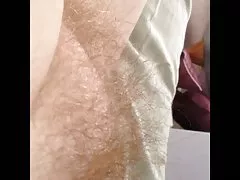 Wifes मुलायम बालों वाली बिल्ली टीला, पेट, पैर दौर