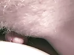 गोरा बालों बिल्ली को छेड़ो
