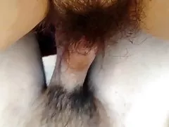 बालों मुर्गा