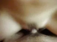 गर्म