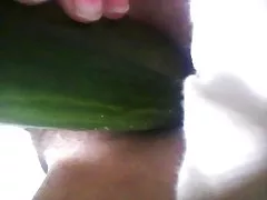 बालों वाली बिल्ली पत्नी