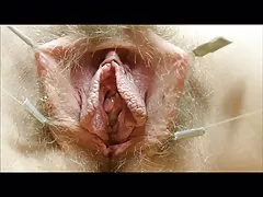 Pussies गा