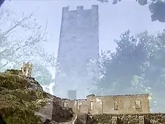 उष्णकटिबंधीय मसाला