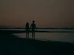 फैलीसिटी