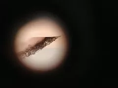 केबिन स्विमिंग पूल