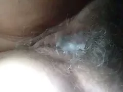 मैला बिल्ली