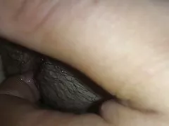 5 बिल्ली में एक उंगली