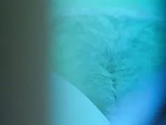 बालों वाली गोरी जिम में कमाना