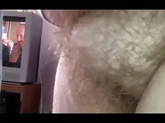 Wifes बालों बिल्ली मेरे चेहरे के आगे सही