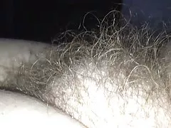 मेरी wifes लंबे मुलायम बालों बिल्ली के साथ दृश्य