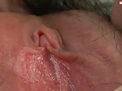 बालों वाली एकल एशियाई करार और गीला