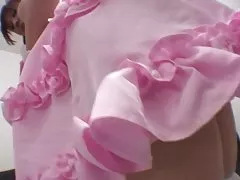 सफेद टेडी कानों में प्यारी बिल्ली सोफे पर fondled हो जाता है