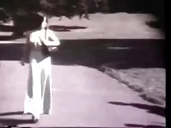 अमेरिकन विंटेज